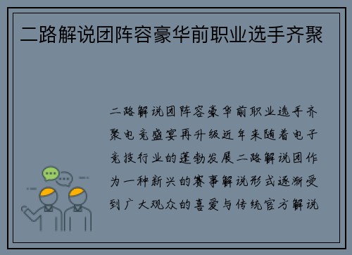 二路解说团阵容豪华前职业选手齐聚