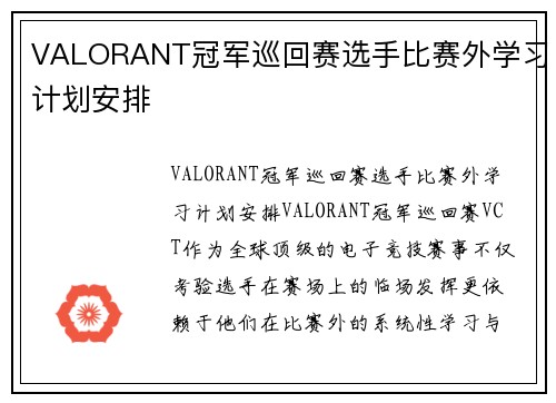 VALORANT冠军巡回赛选手比赛外学习计划安排