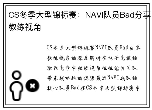 CS冬季大型锦标赛：NAVI队员Bad分享教练视角